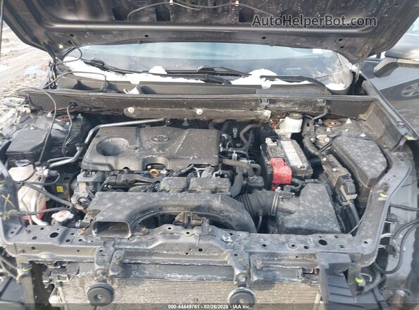 2T3P1RFV3KW016176 2019 TOYOTA LE Silver Widok z tyłu