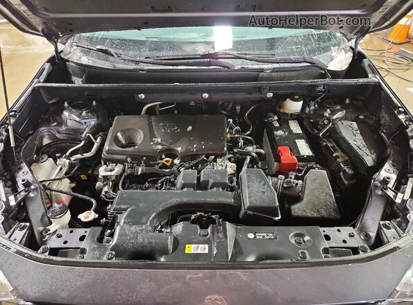 2T3P1RFV9PW359565 2023 TOYOTA LE Gray უკანა სალონის ხედი