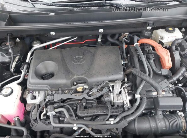 2T3RWRFV9KW029492 2019 TOYOTA LE Black Հետևի տեսք