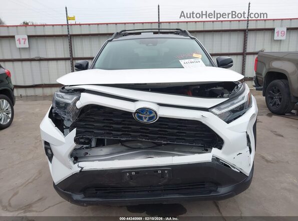 2T3UWRFV3RW215209 2024 TOYOTA RAV4 HYBRID Белый Вид спереди