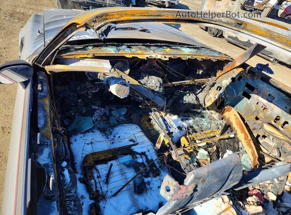 2X87K9N155795 1979 PONTIAC FIREBIRD Серебряный 