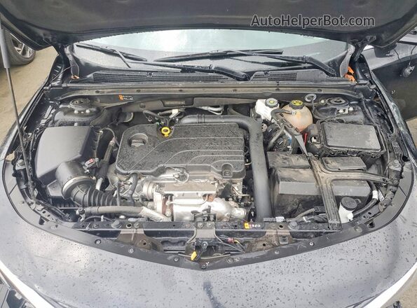 1G1ZD5ST4PF206194 2023 CHEVROLET MALIBU Black Vista del compartimento del motor
