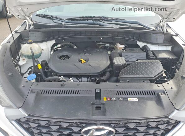 KM8J3CA41KU957534 2019 HYUNDAI TUCSON Белый 