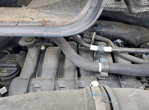 3C6LRVDG6RE100686 2024 RAM PROMASTER Белый 