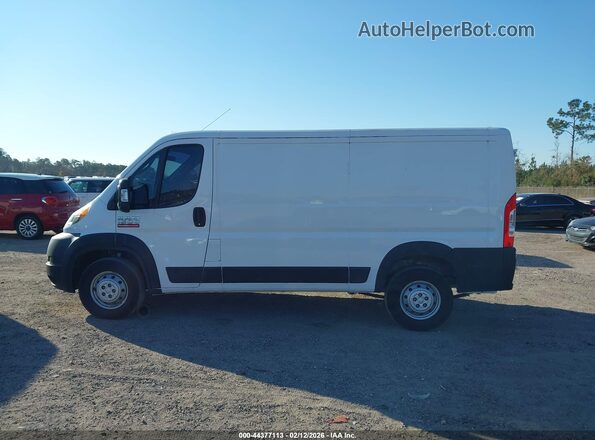 3C6TRVAG5LE106233 2020 RAM PROMASTER 1500 Белый 