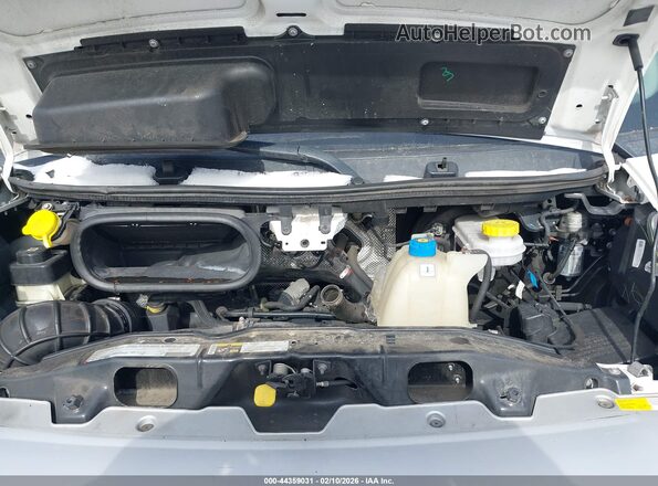 3C6TRVDG4LE121821 2020 RAM PROMASTER 2500 White Widok z tyłu