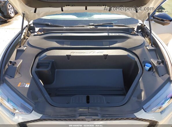 3FMTK1R41SMA46046 2025 FORD MUSTANG MACH-E Beige Rear view
