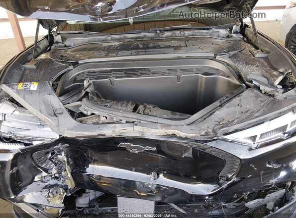 3FMTK1R48RMA21851 2024 FORD MUSTANG MACH-E Black Հետևի տեսք