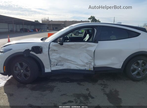 3FMTK1RM1MMA44025 2021 FORD MUSTANG MACH-E White Front view