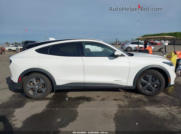 3FMTK1RM1MMA44025 2021 FORD MUSTANG MACH-E White Rear interior view