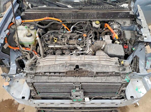 3FTTW8M34RRA44417 2024 FORD MAVERICK Синий Вид задней части салона