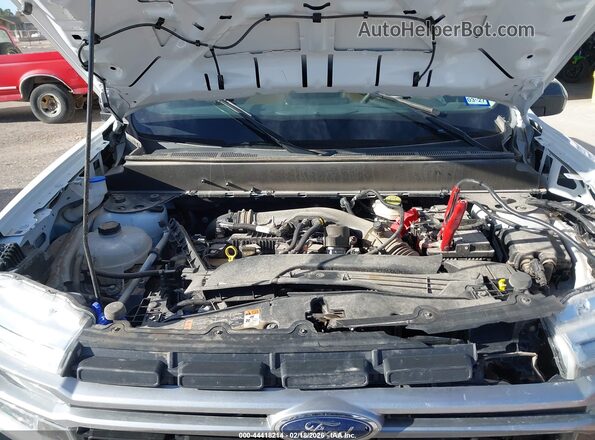 3FTTW8S98RRB28733 2024 FORD MAVERICK White Вид ззаду