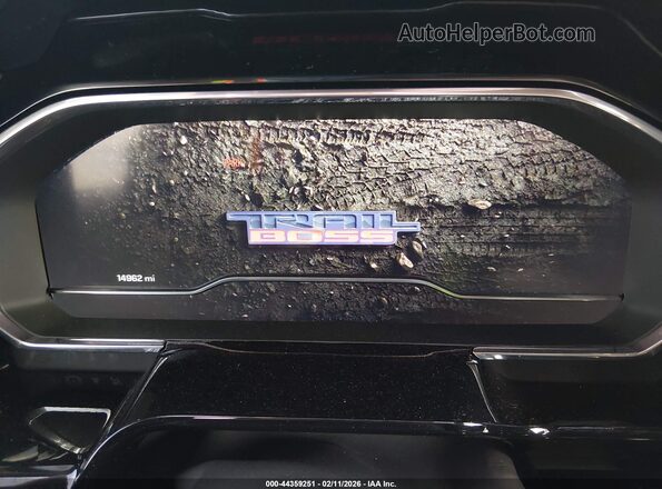 3GCUDFEL5RG145670 2024 CHEVROLET SILVERADO Gray Vista de los asientos traseros