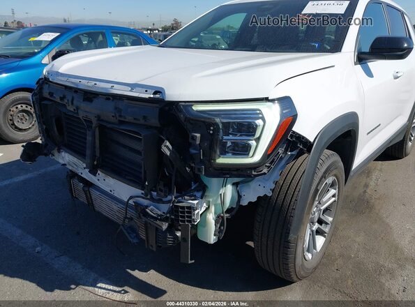 3GKALMEG8SL317477 2025 GMC TERRAIN White 