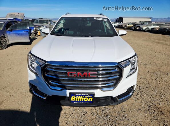 3GKALVEG0RL233914 2024 GMC TERRAIN White Widok z przodu