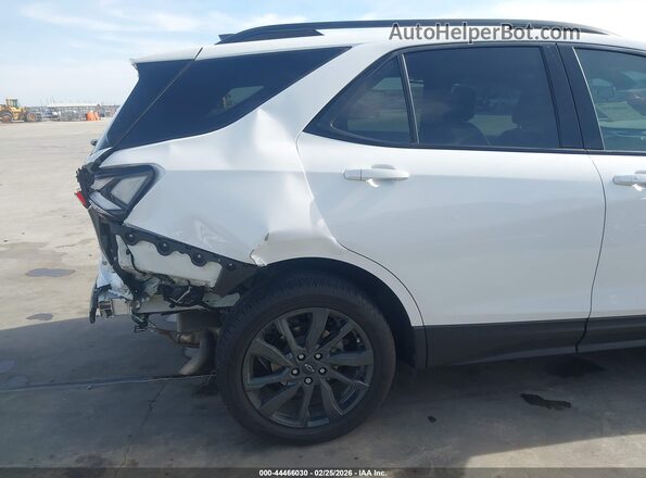 3GNAXMEG6PL239196 2023 CHEVROLET EQUINOX White 