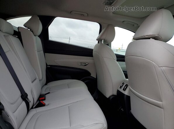 3KMJCCDE5SE019749 2025 HYUNDAI TUCSON Черный Вид задней части салона