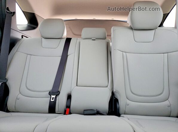 3KMJCCDE5SE019749 2025 HYUNDAI TUCSON Черный Вид задних сидений