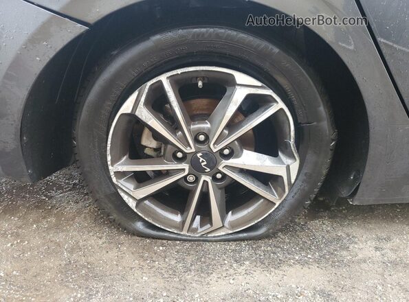 3KPF24AD1RE829936 2024 KIA FORTE Серый 