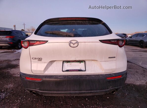3MVDMBAL1MM213292 2021 MAZDA CX-30 White Вид ззаду