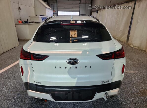 3PCAJ5JR3RF108400 2024 INFINITI QX55 White Հետևի տեսք