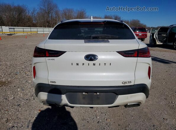 3PCAJ5KR2RF101730 2024 INFINITI QX55 White Rear view