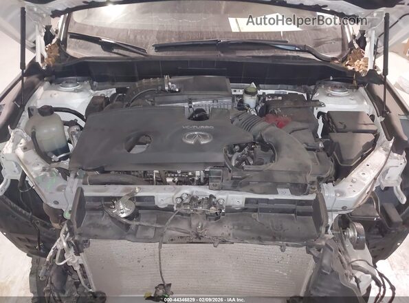 3PCAJ5M13LF114176 2020 INFINITI QX50 Черный Вид сзади