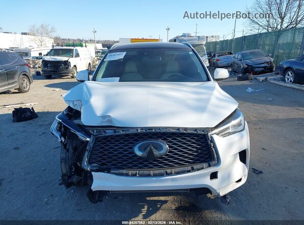 3PCAJ5M39LF104561 2020 INFINITI QX50 Белый Вид задней части салона