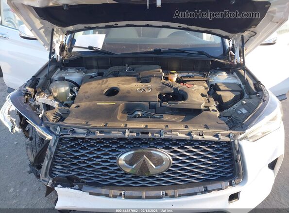 3PCAJ5M39LF104561 2020 INFINITI QX50 Белый Вид сзади
