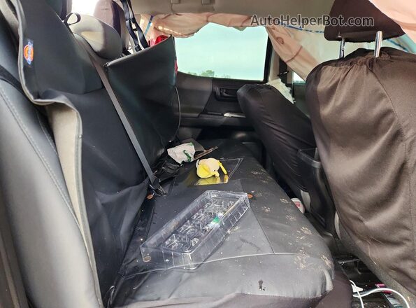 3TMAZ5CN6MM158778 2021 TOYOTA LE Gray Հետևի նստատեղերի տեսք