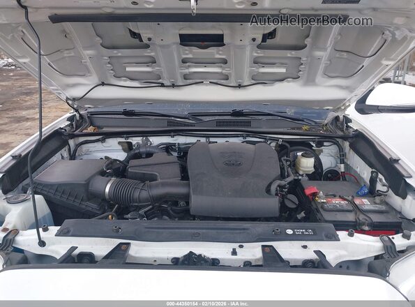 3TMCZ5AN0HM089880 2017 TOYOTA TACOMA White Widok z tyłu