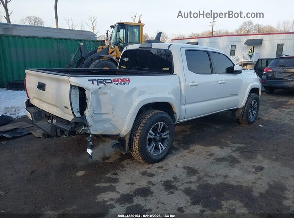 3TMCZ5AN0HM089880 2017 TOYOTA TACOMA White Tył prawy