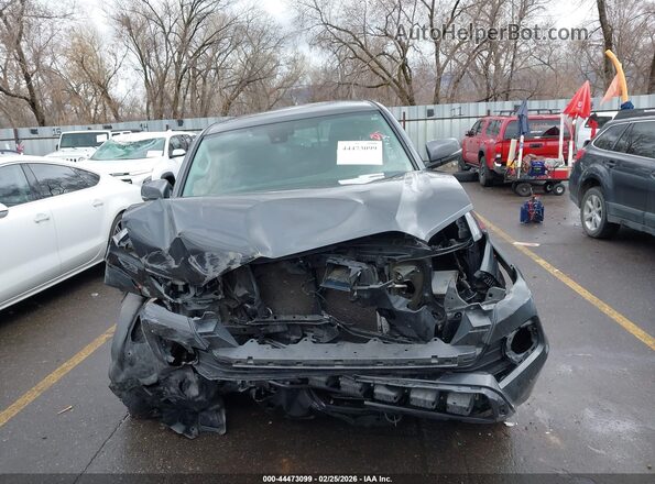 3TMCZ5AN0PM621434 2023 TOYOTA TACOMA Серый Вид задней части салона