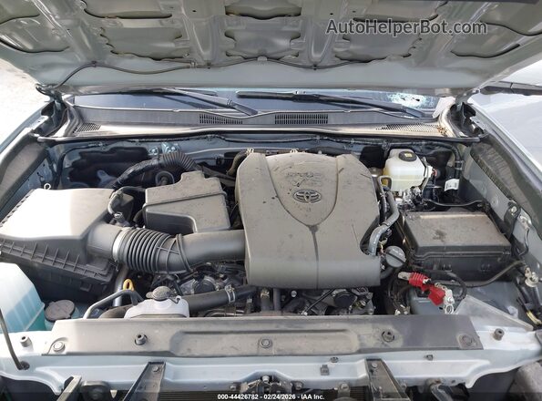 3TMCZ5AN4MM435861 2021 TOYOTA TACOMA Серый Вид сзади