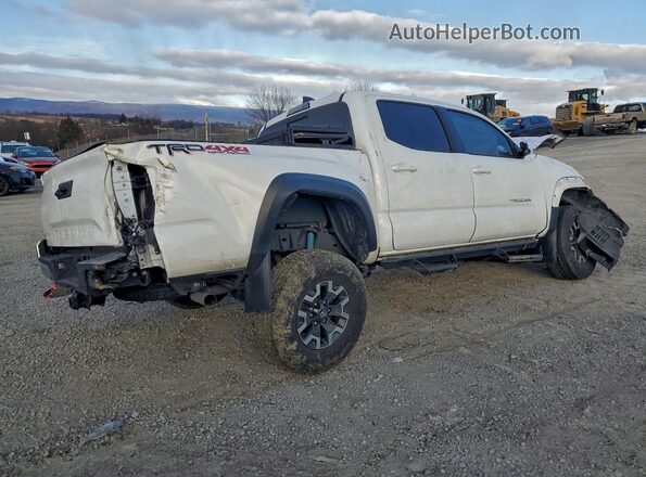 3TMCZ5AN4PM557902 2023 TOYOTA LE Белый Задняя правая четверть