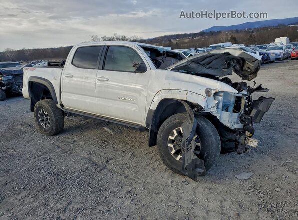 3TMCZ5AN4PM557902 2023 TOYOTA LE Белый Передняя правая четверть