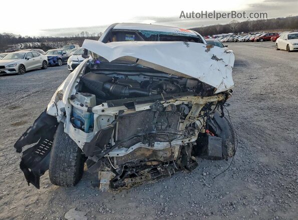 3TMCZ5AN4PM557902 2023 TOYOTA LE Белый Вид спереди