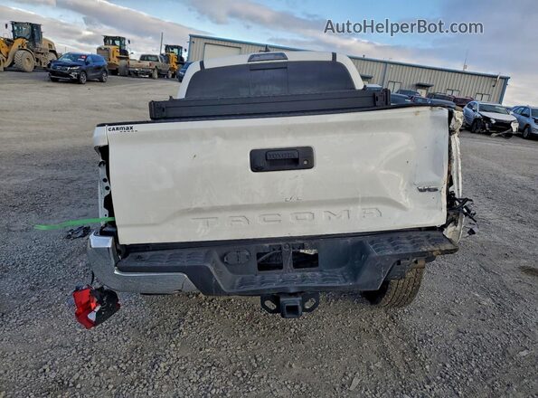 3TMCZ5AN4PM557902 2023 TOYOTA LE Белый Вид сзади