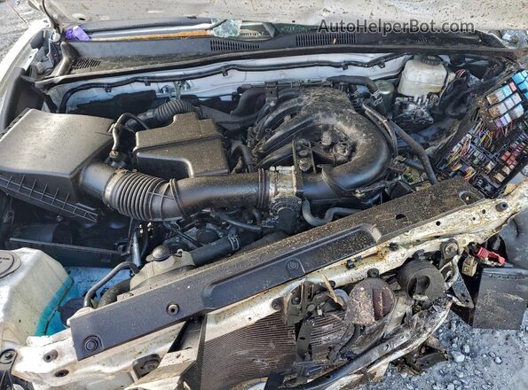3TMCZ5AN4PM557902 2023 TOYOTA LE Белый Вид задней части салона