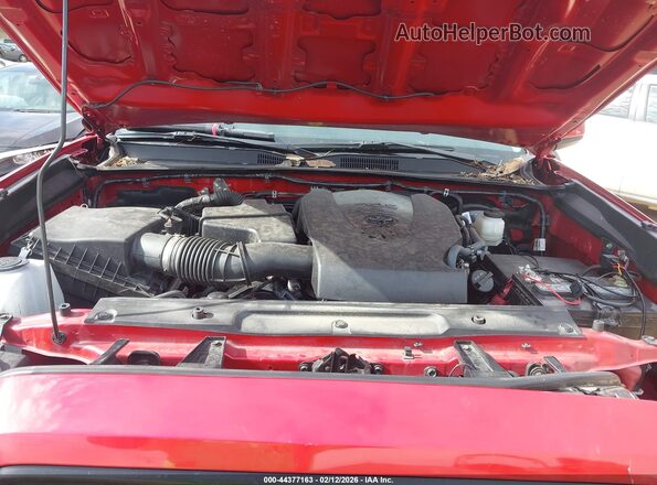 3TMCZ5AN4PM608461 2023 TOYOTA TACOMA Red Вид ззаду