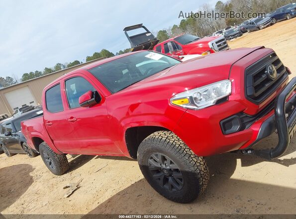 3TMCZ5AN4PM608461 2023 TOYOTA TACOMA Red Вид задньої частини салону