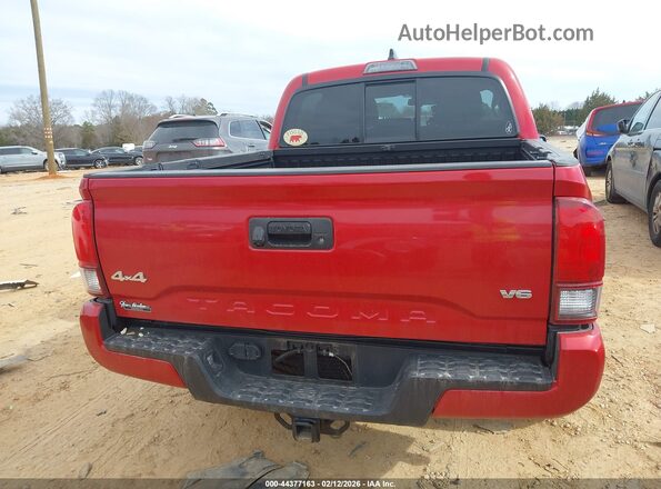 3TMCZ5AN4PM608461 2023 TOYOTA TACOMA Red 