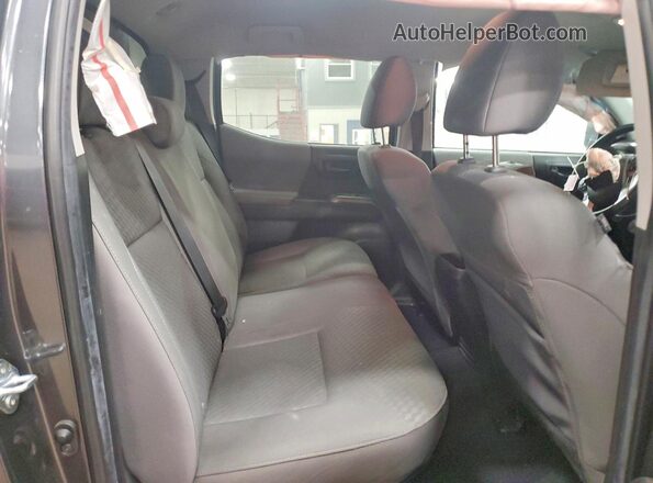 3TMCZ5AN9PM556020 2023 TOYOTA LE Gray Vista de los asientos traseros