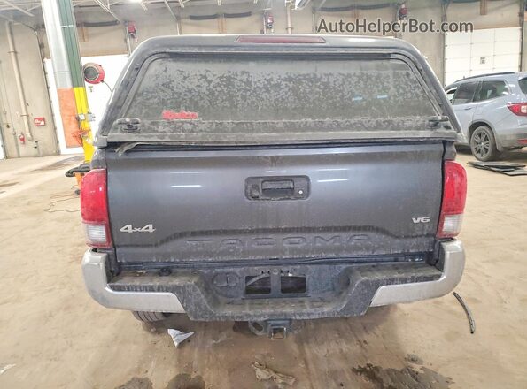3TMCZ5AN9PM556020 2023 TOYOTA LE Gray Vista trasera