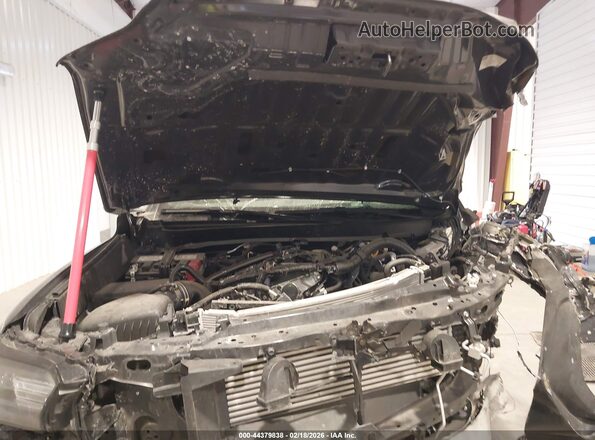 3TMLB5JN4RM087006 2024 TOYOTA TACOMA Gray Widok z tyłu