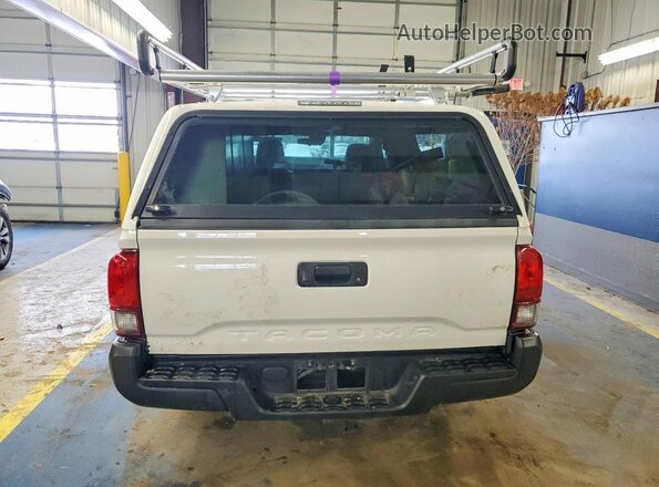 3TYRX5GNXPT082462 2023 TOYOTA TACOMA Белый Вид сзади
