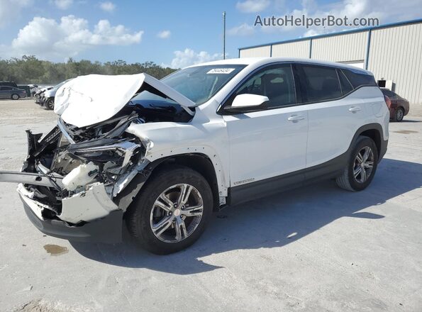 3GKALMEV2LL144409 2020 GMC TERRAIN White Հետևի ձախ