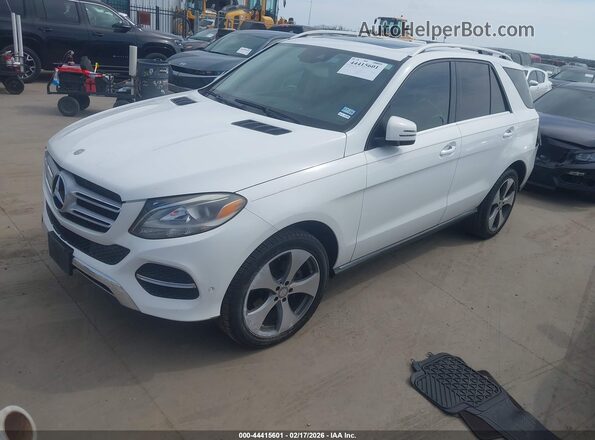 4JGDA5JB3GA681346 2016 MERCEDES-BENZ GLE 350 White 