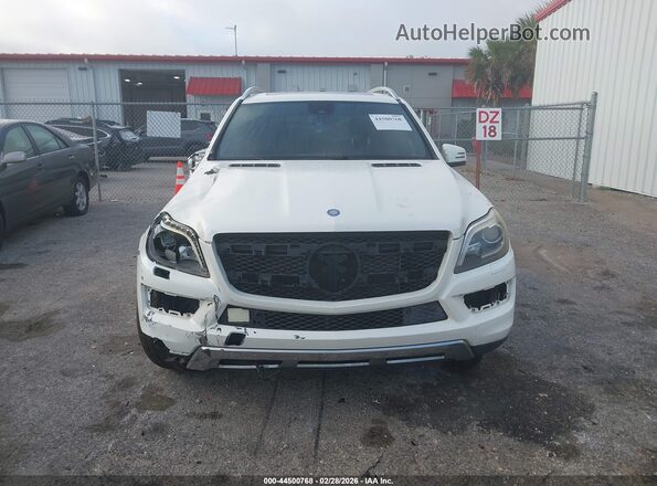 4JGDF6EE0GA676830 2016 MERCEDES-BENZ GL 450 White Սալոնի հետևի տեսք