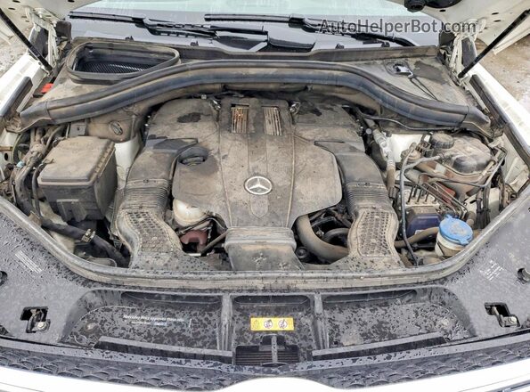 4JGDF6EE0HA786973 2017 MERCEDES-BENZ GLS-CLASS White Vista de la etiqueta del VIN